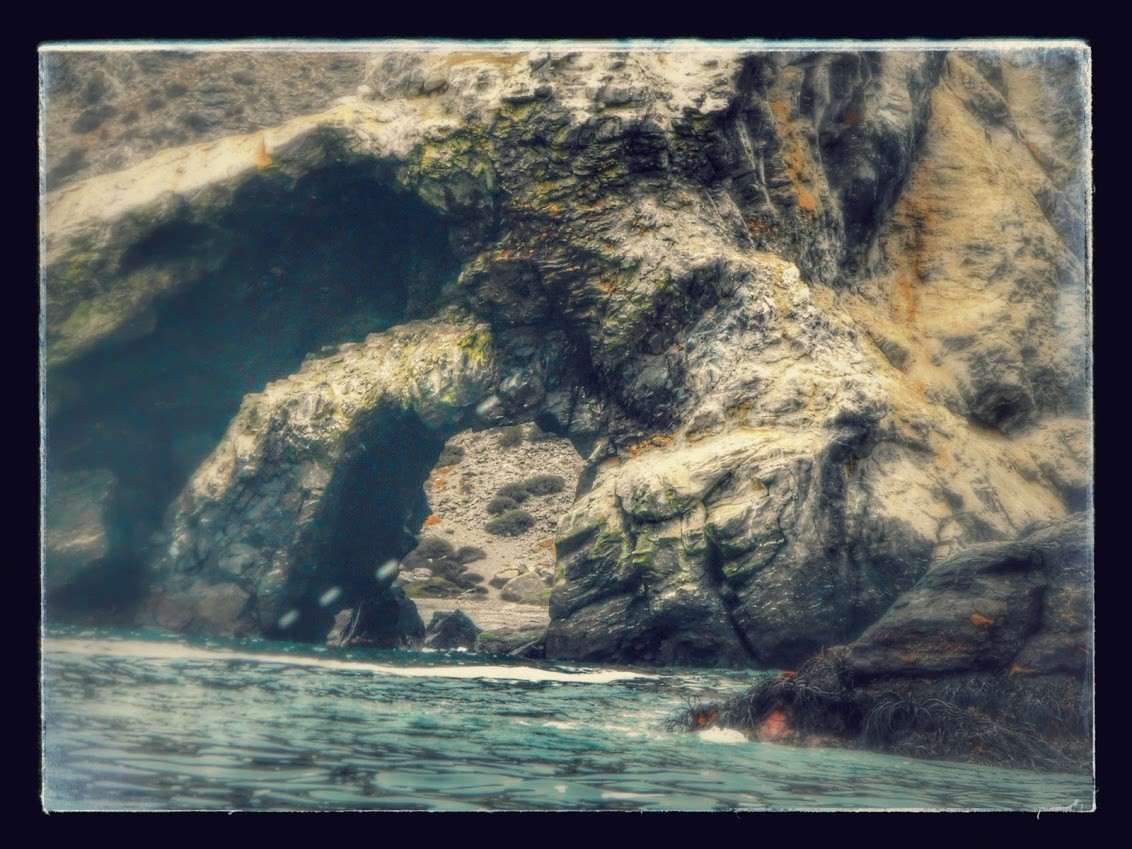 Punta de Choros, Chili mars 2016