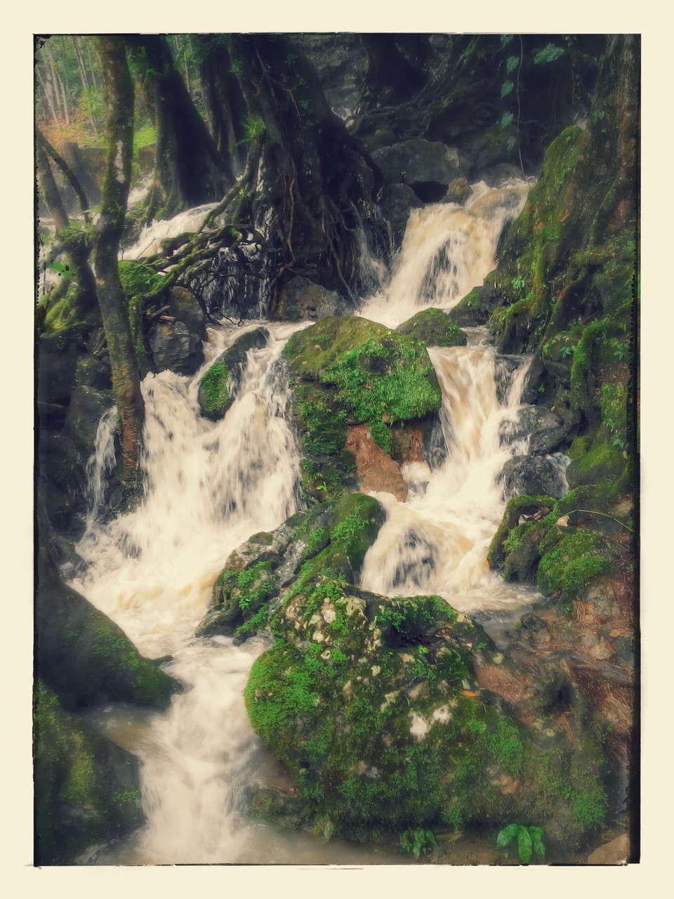 Seymuc Champey, Guatemala novembre 2015