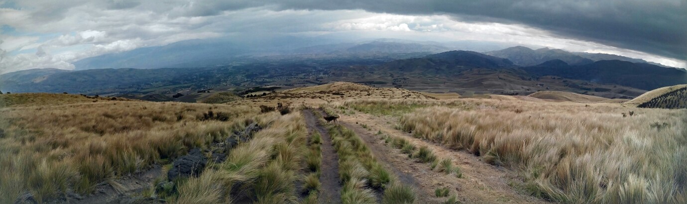 Le paramo, Equateur janvier 2016