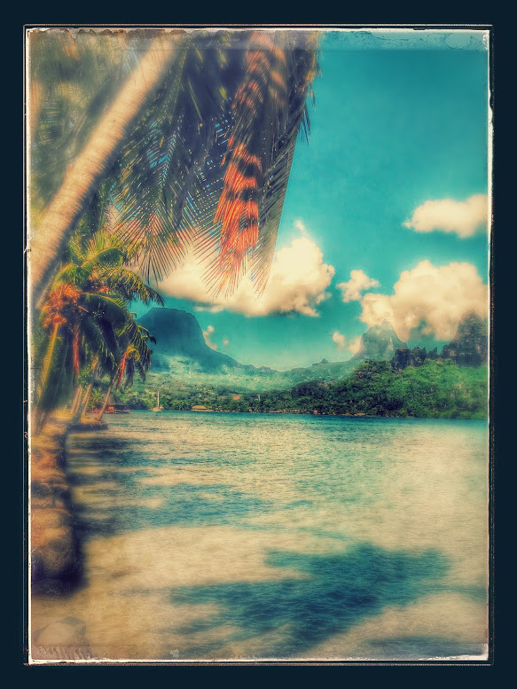 Moorea, lagon, avril 2016