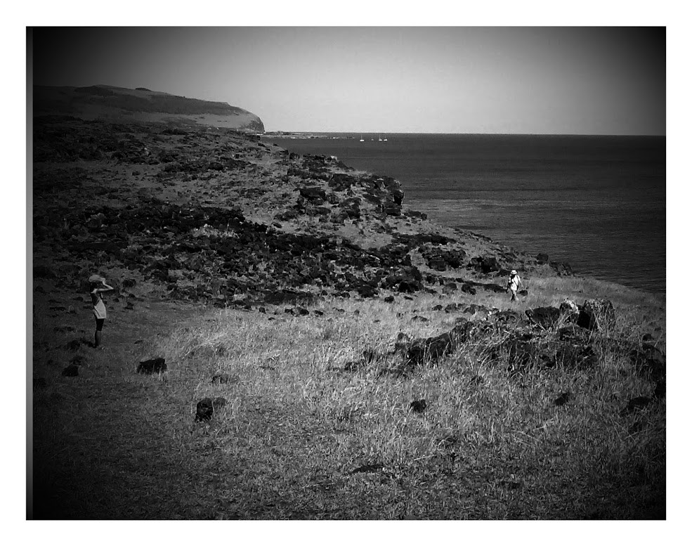 Rapa Nui, flancs du volcn Rano Kau, avril 2016
