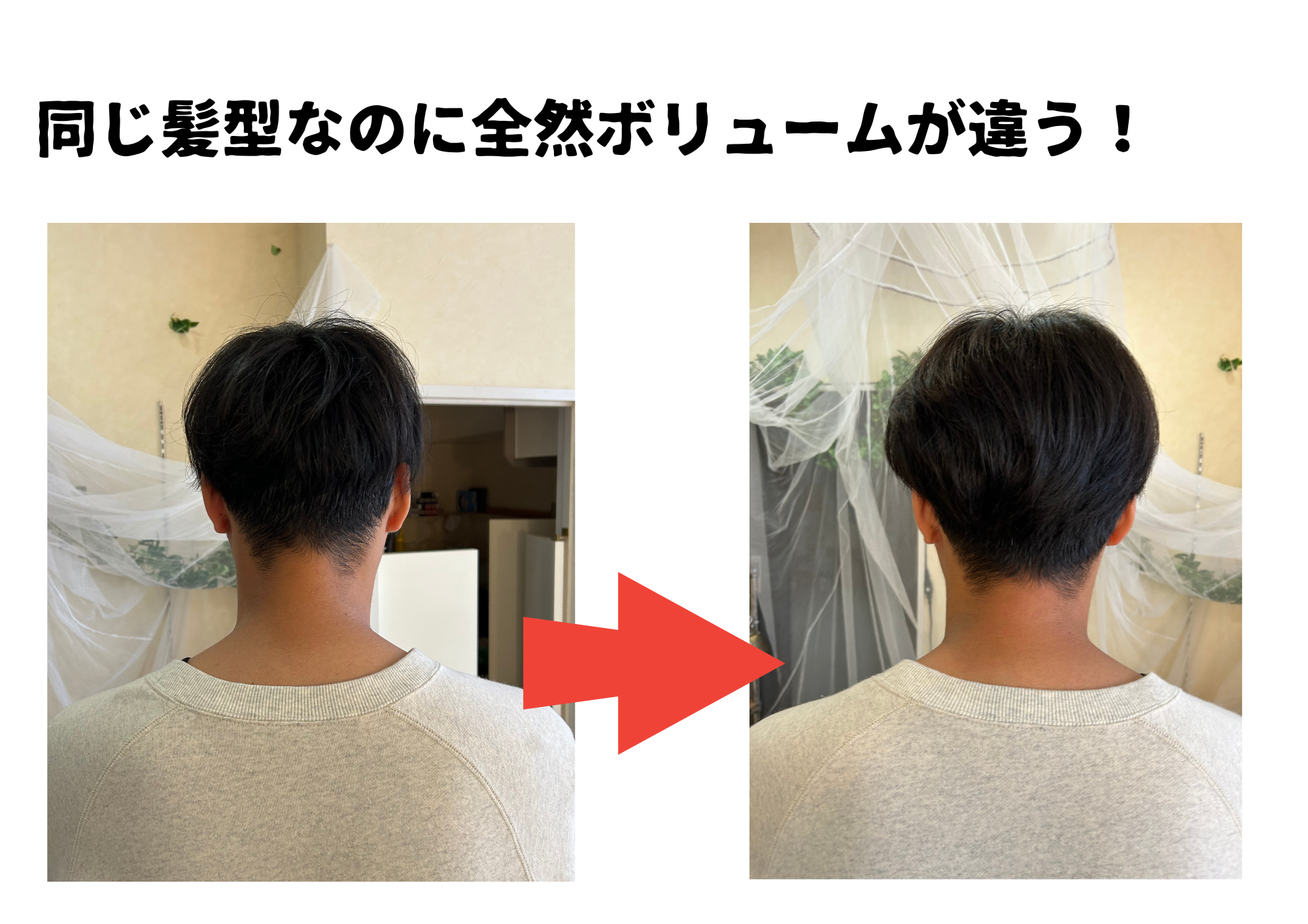 頭皮洗浄であなたの髪をサラサラ、ボリュームUP！　＊汚れの写真あり