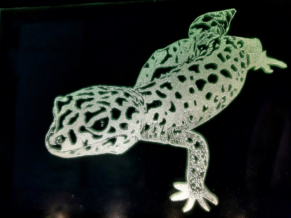 Leopardgecko Bonnie (Auftragsarbeit)