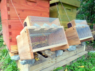 スズメバチ捕獲器 - きこりの里山DIY