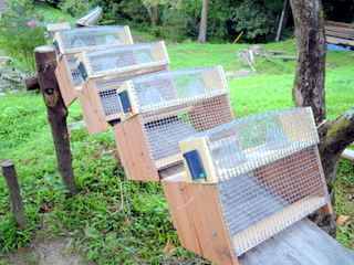 スズメバチ捕獲器づくり きこりの里山diy
