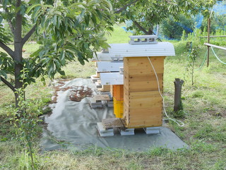 きこりの里山diy jimdo