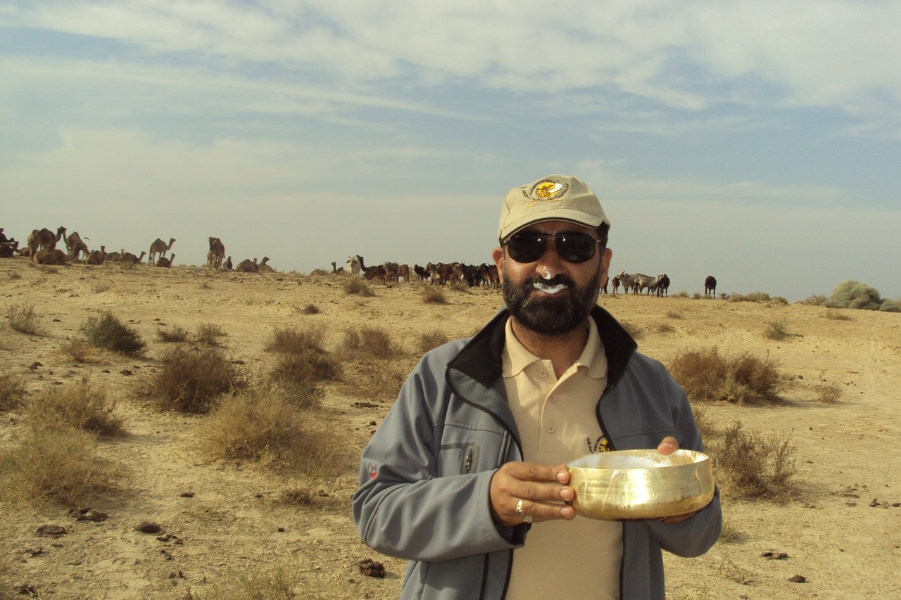Camel Milk Inhibits Growth Of Colon Cancer And Other Health Potentials Dromacity Passion Dromadaire Et Desert