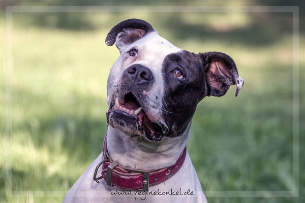 Matilda
