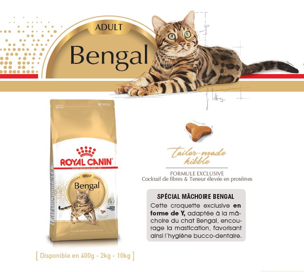 Aliment Royal Canin chat de race Bengal - Elevage Tribal Bengal