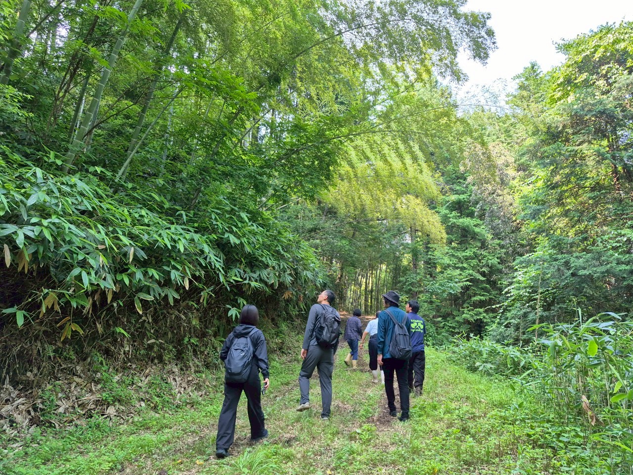 島根県伐採ツアーに行ってきました。