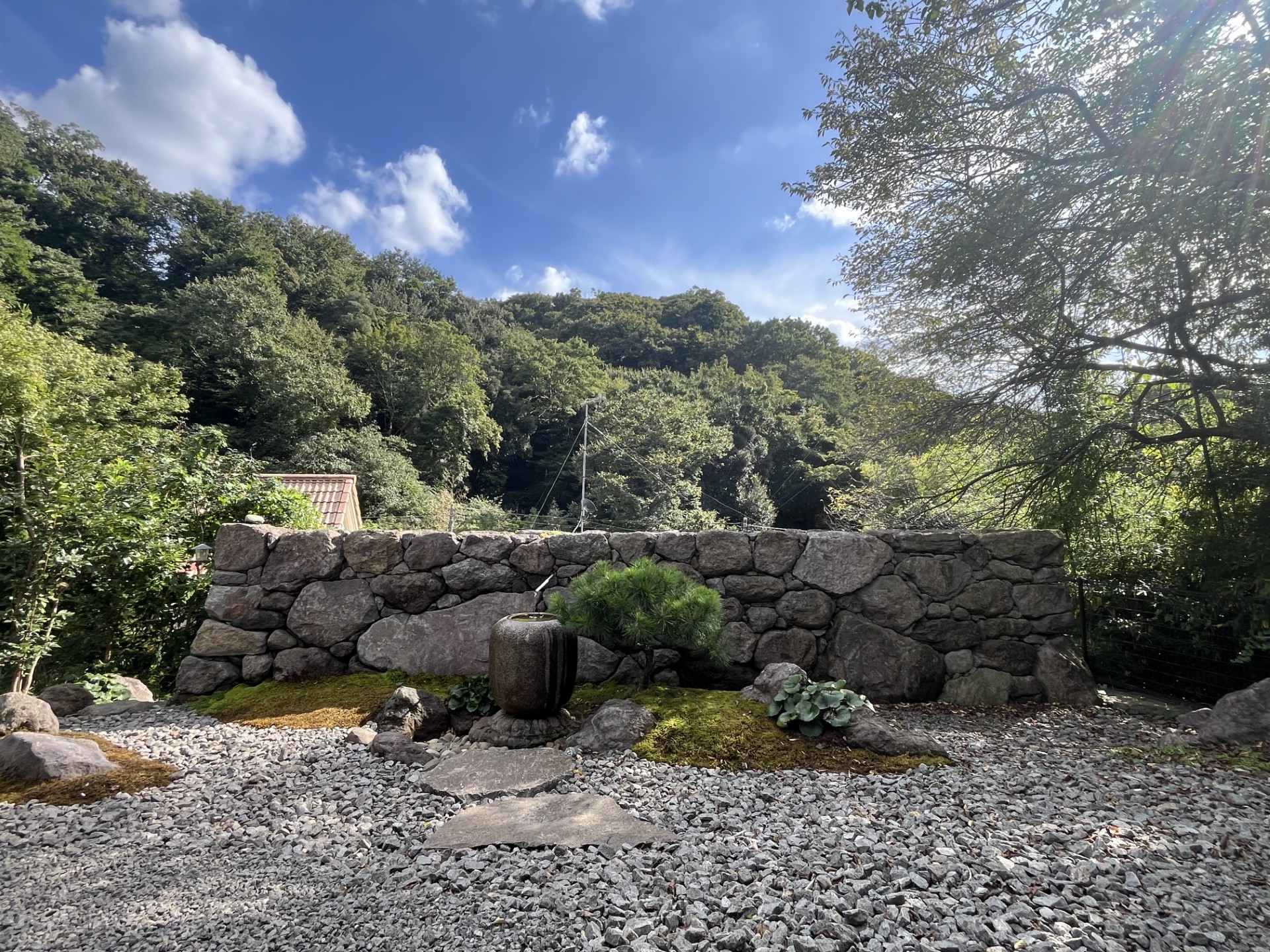 庭咲桜(にわざくら) - 庭咲桜(にわざくら)niwazakura garden 庭咲桜(にわざくら) - 庭咲桜(にわざくら)niwazakura garden