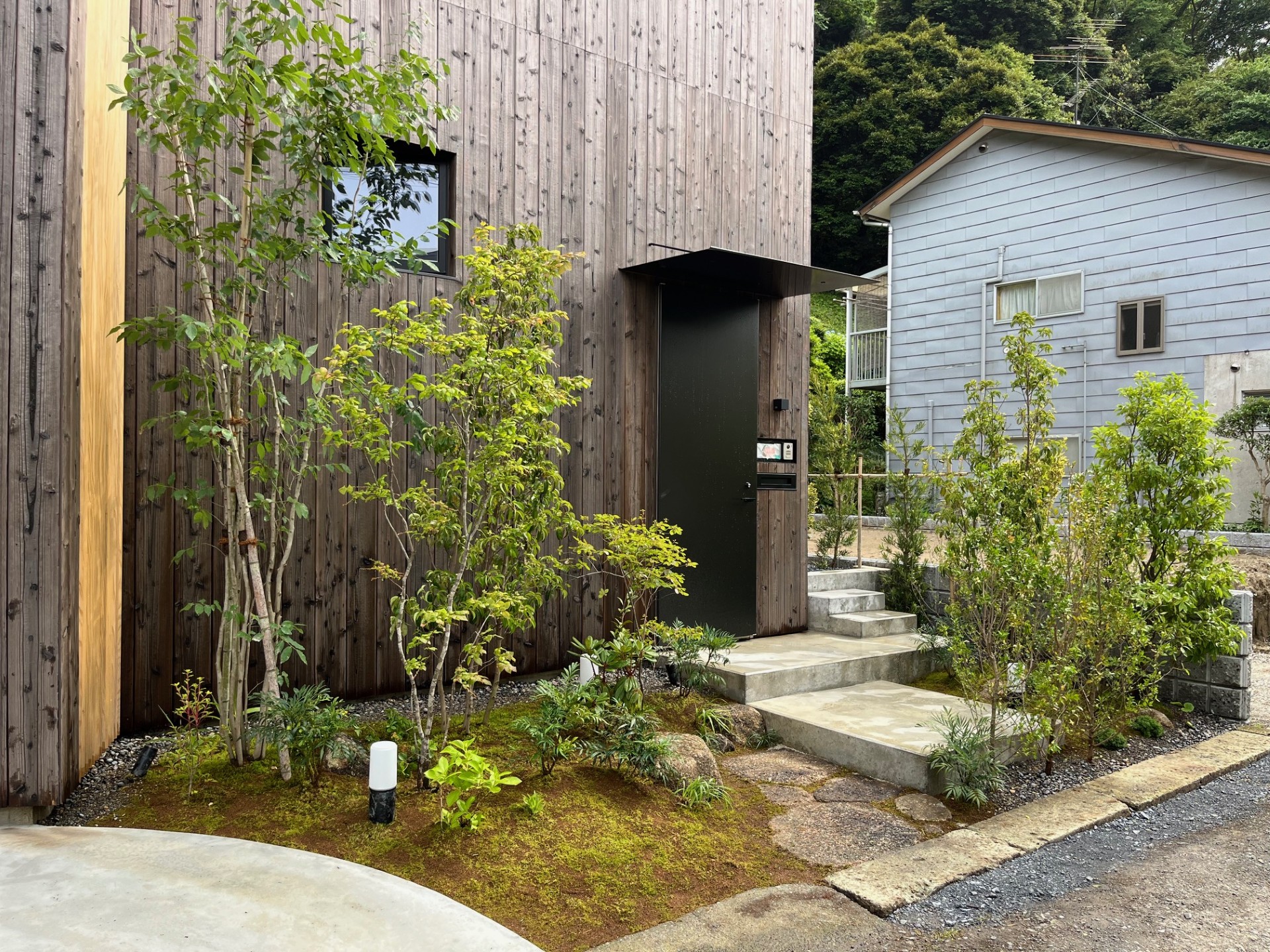 庭咲桜(にわざくら) - 庭咲桜(にわざくら)niwazakura garden 庭咲桜(にわざくら) - 庭咲桜(にわざくら)niwazakura garden