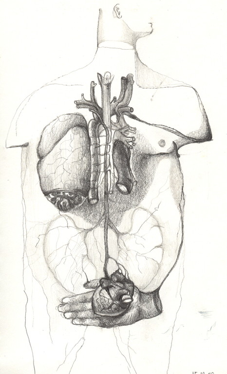 "dessin anatomique", 2001, 17x25,  mine de plomb sur papier  ©