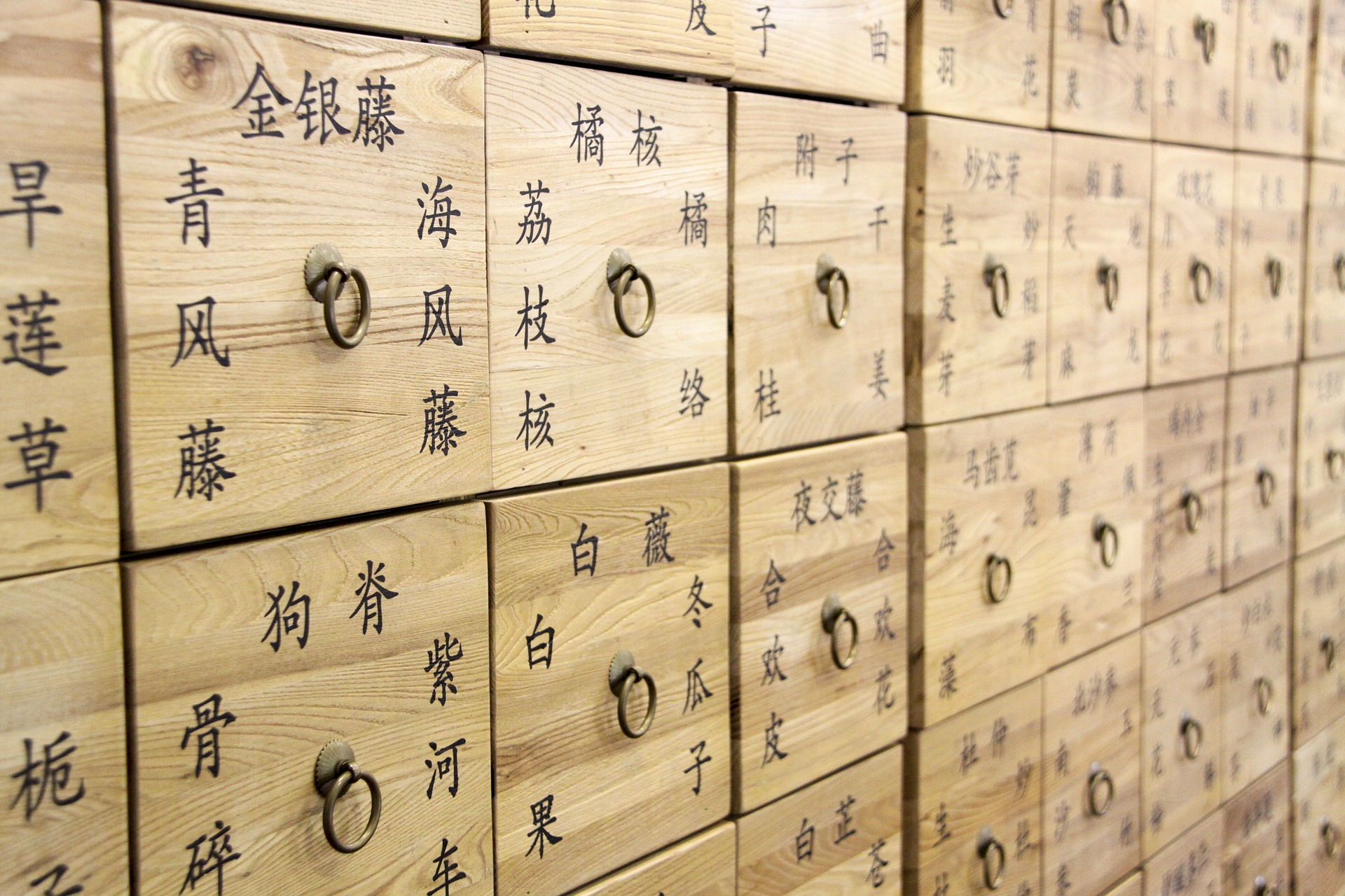 Qu'est-ce que la médecine traditionnelle chinoise ?