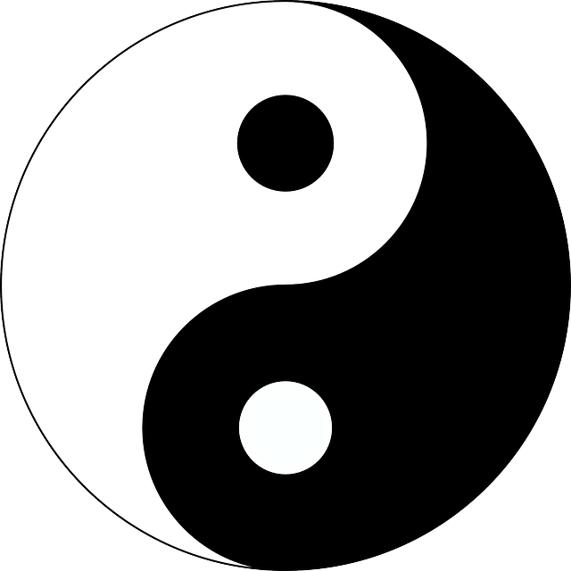 Le Yin Yang