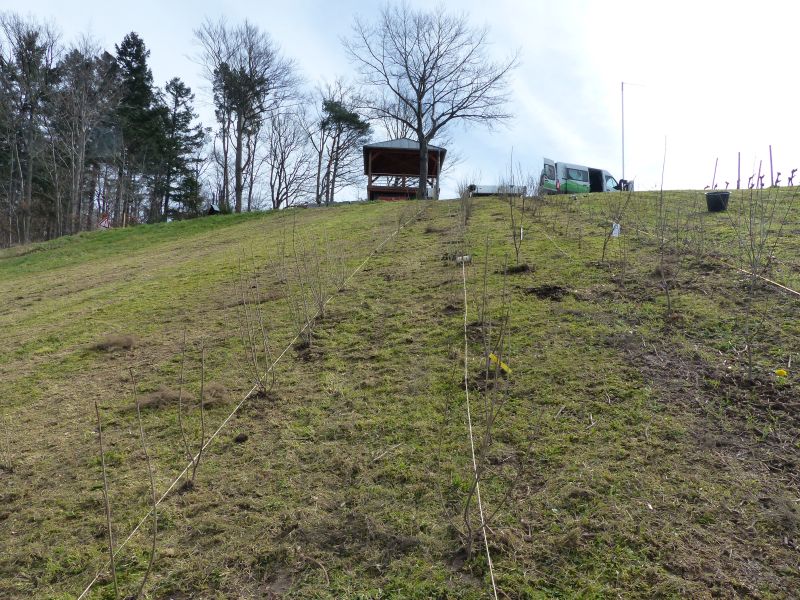 Bienenbuckel am 17.03.2023, Foto: NABU/Klatt