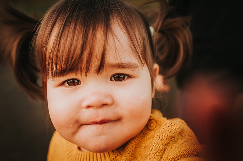 a close up portrait of a little girl during family portraits in Preston lancashire