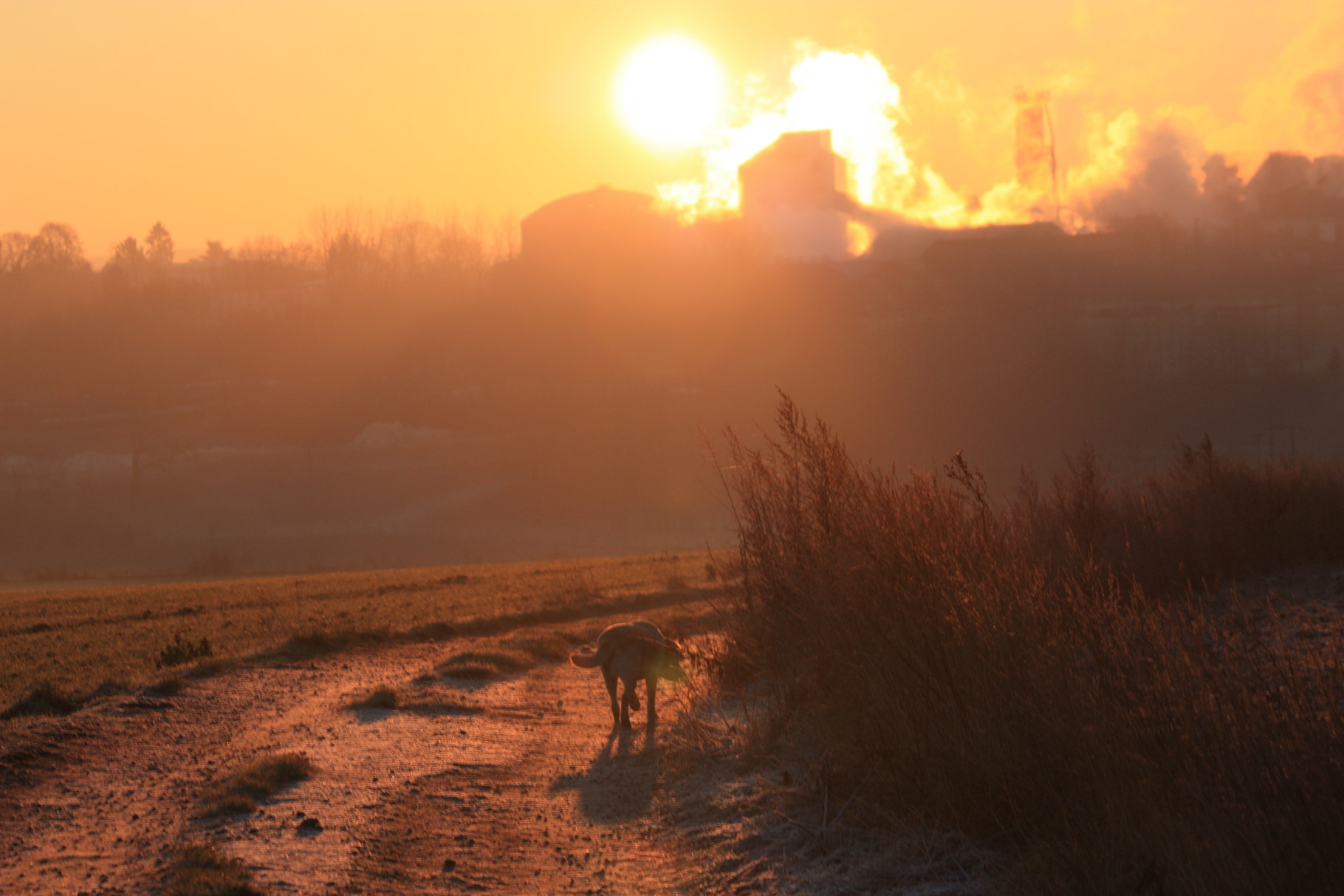 La sucrerie de Sainte Emilie Site de villersfaucon