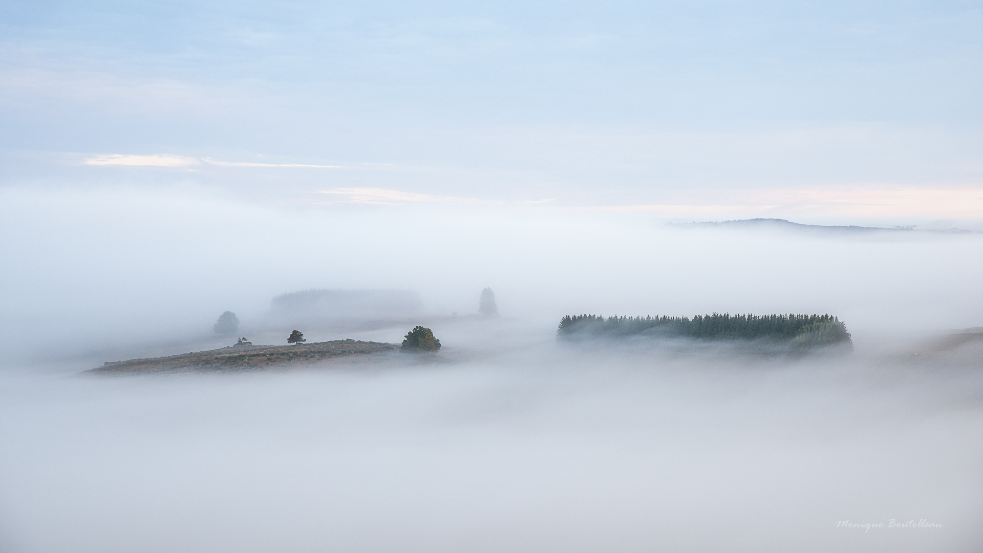 Sortie du livre : De brume et d'Aubrac