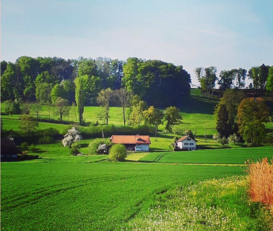 AQUENE, kommt aus dem Indianischen und bedeutet FRIEDEN. 