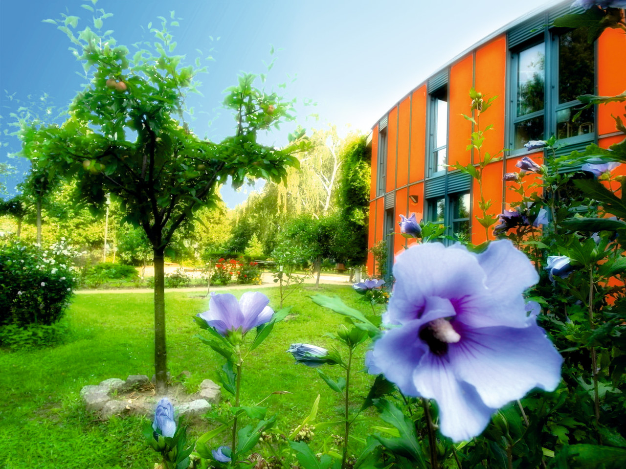 Projekt Mehrgenerationenhaus - Kiezspinne-FAS e.V.