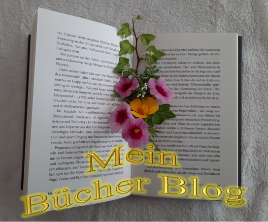 Die verkaufte Sängerin (Cristina Trilogie)