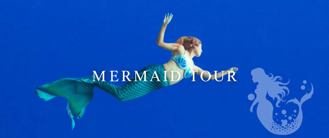 PADIマーメイドコース