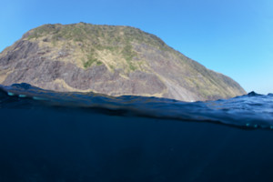 イルカの棲む自然豊かな利島の海