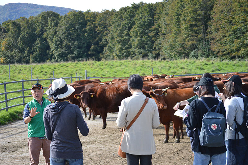 北の里自然牛視察