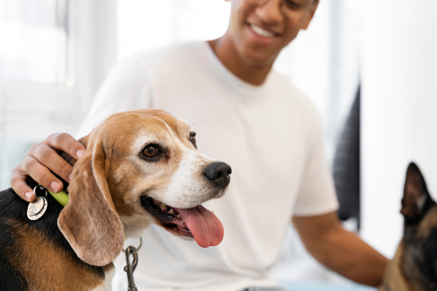 Why Enrichment Dog Daycare Is Better for Small Breeds