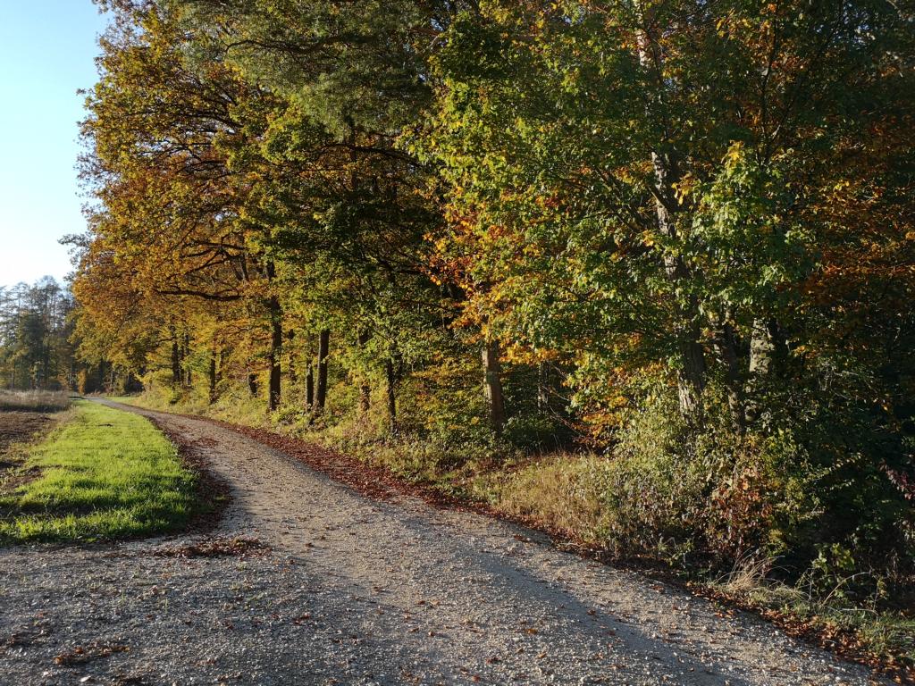 ein wunderschöner Herbsttag