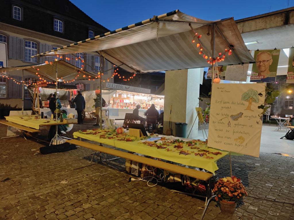 Wenn es langsam dunkel wird läuchten unsere mit Lampionblumen verzierten Lichterketten.