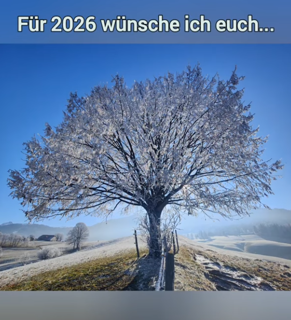 Wünsche für 2026