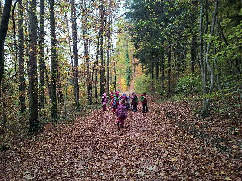 Auf dem Weg zum Waldsofaplatz