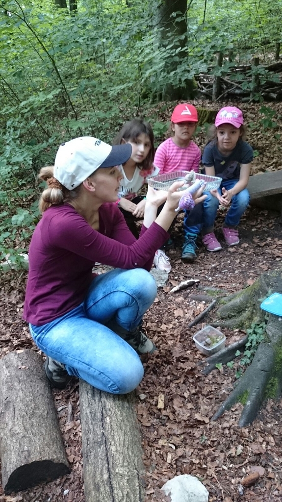 wie bewegt sich eine Schnecke vorwärts? Durch den Glasboden sieht man's...