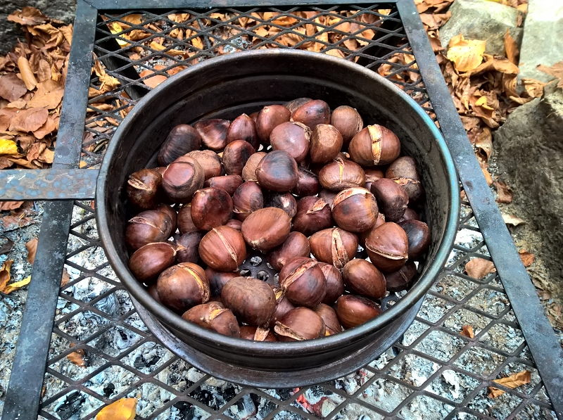 Über der Glut rösten wir Marroni...