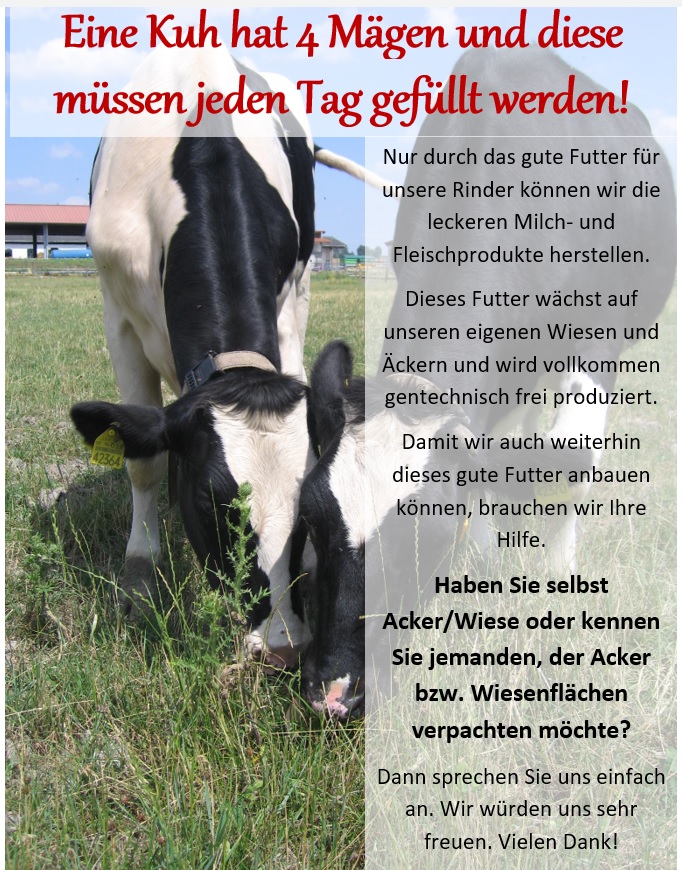 Ein Infoblatt mit dem Titel: Eine Kuh hat 4 Mägen und diese müssen jeden Tag gefüllt werden!
