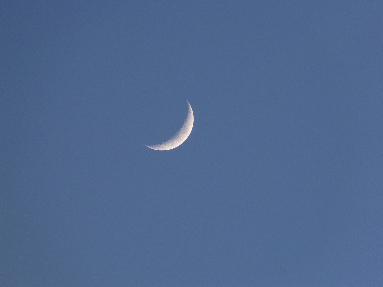 今夜は獅子座の新月