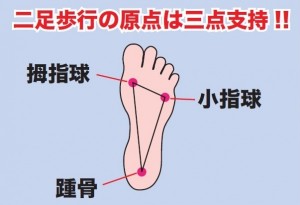 足の3つのアーチで足裏バランスを整える✨