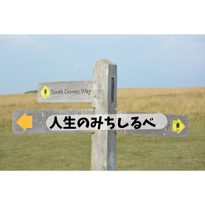 ヨガは、“楽に生きる”ための道しるべ