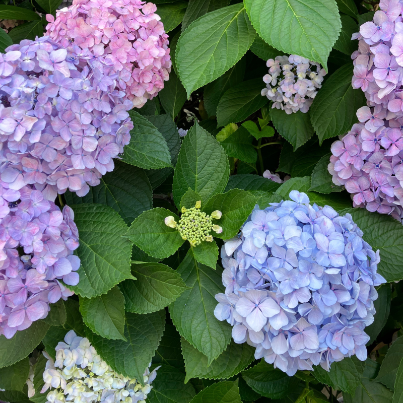 暑くなると、姿勢が崩れてしまいませんか❓