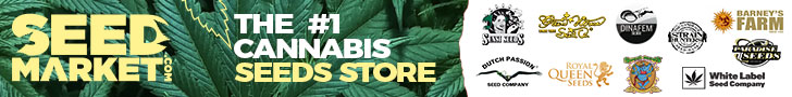 Graines de cannabis - SeedMarket.com