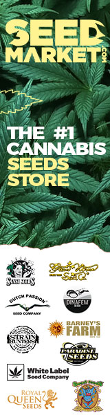 Graines de Cannabis en Ligne - SeedMarket.com