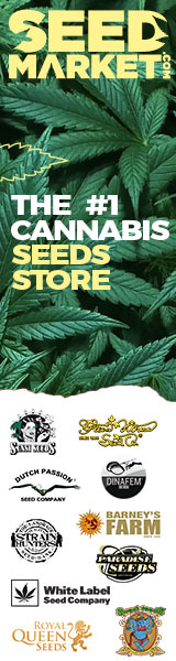 graines cannabis seedsman