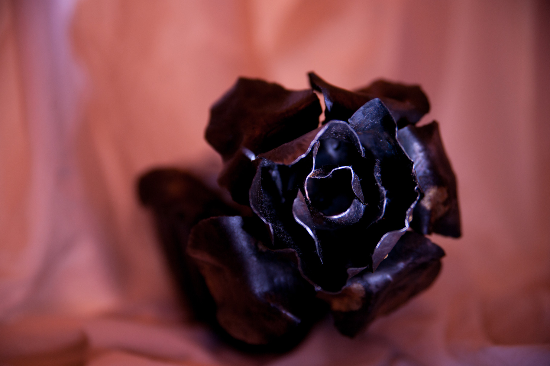 Iron Rose - Blacksmithing