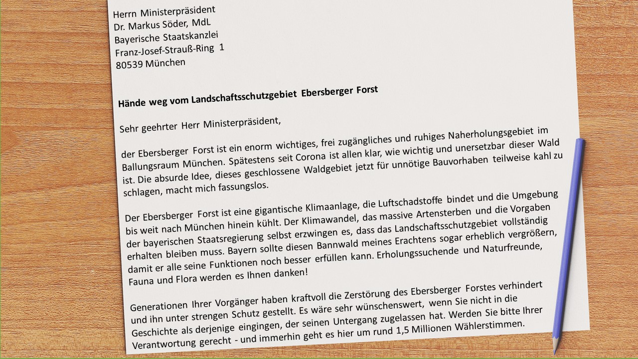 Burgerinitiative Burgerinitiative St2080 Forstinning