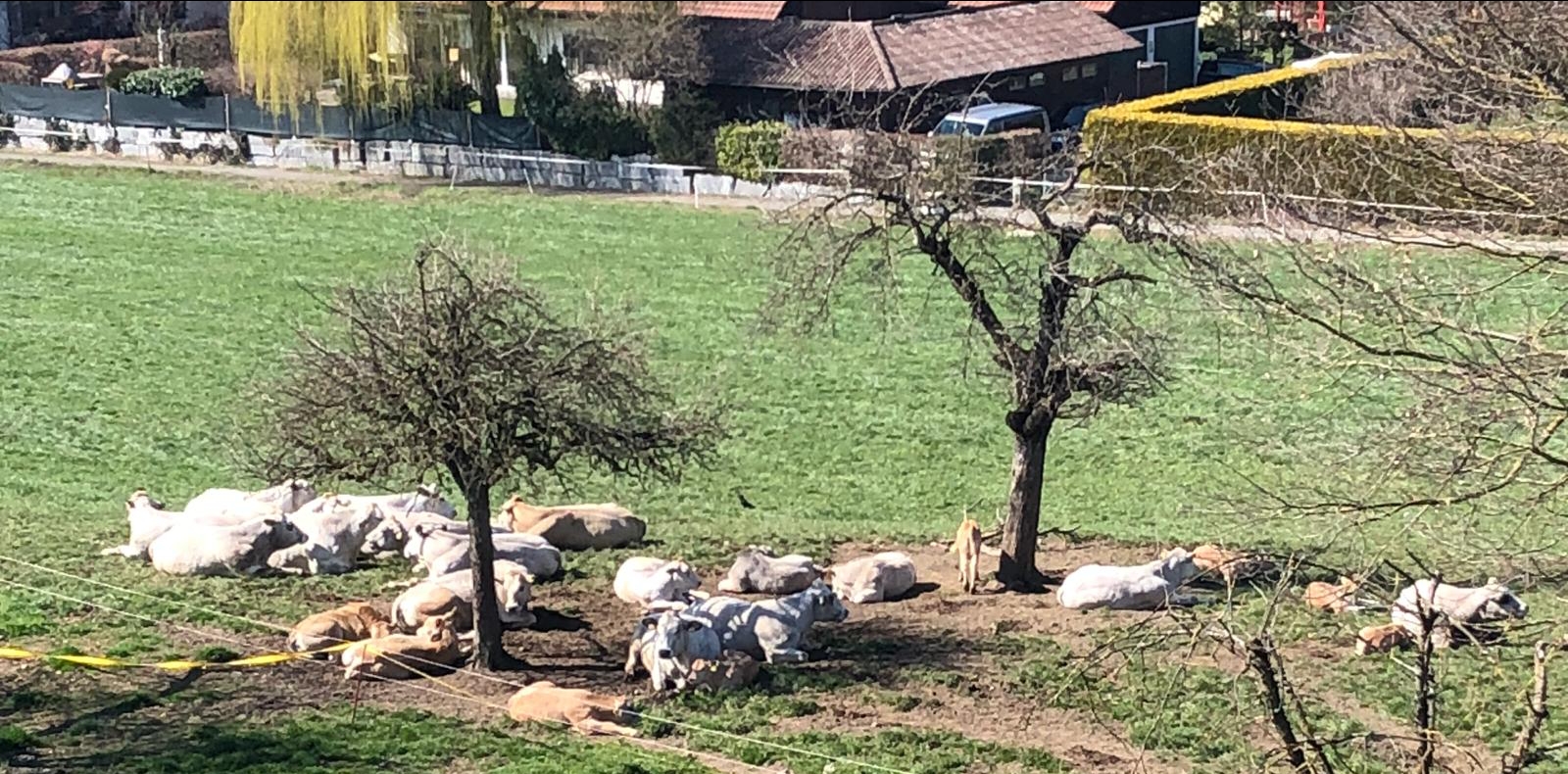 Frühelingssonne am geniessen