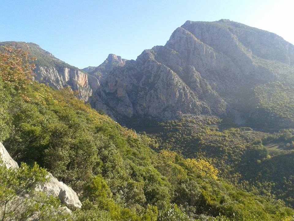 Kepi i Gershotit ku ende jane rrënojat e Shënmrisë (Maria),