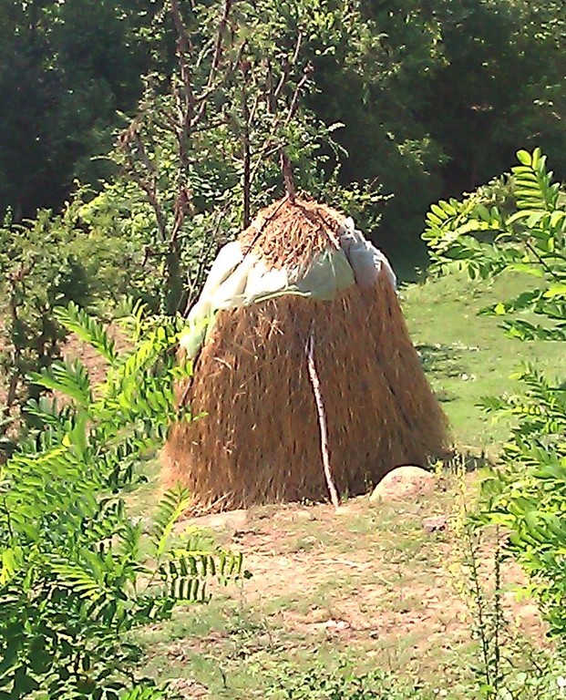 Mullar bari (Méthode de conserver le foin)