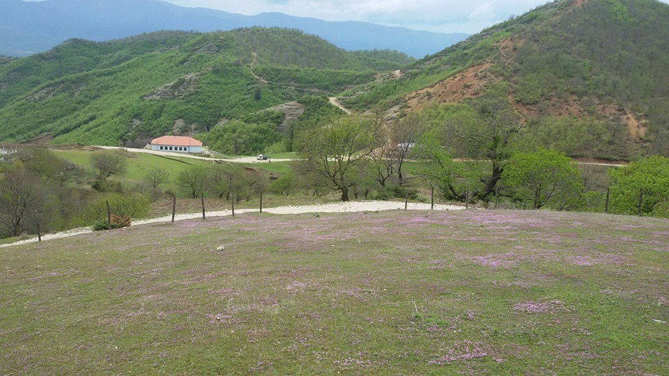 Qafa e Shënkollit (Dukagjin)